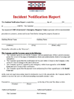 initial report